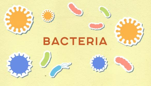 壓縮空氣中有細(xì)菌？能耗過(guò)高？柳泰克無(wú)油旋齒壓縮機(jī)YYDS